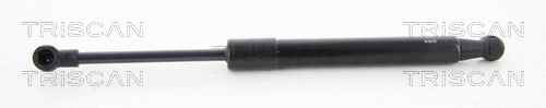 Gas Spring, boot/cargo area (8710 112007)