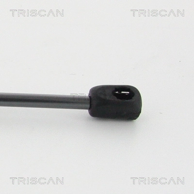 Gas Spring, bonnet