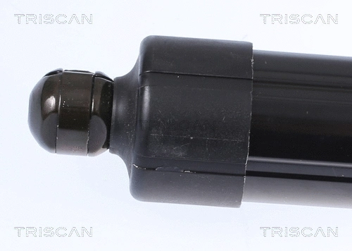 Gas Spring, boot/cargo area