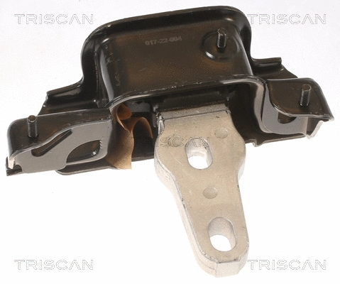 Mounting, engine