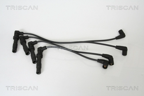 Ignition Cable Kit (8860 4207)