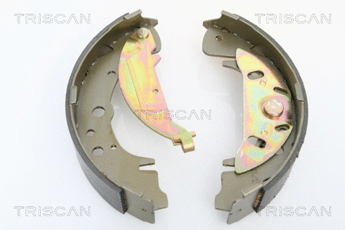 Brake Shoe Set (8100 10003)