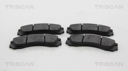 Brake Pad Set, disc brake (8110 10576)