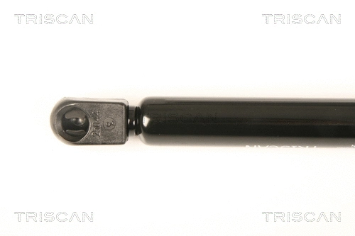 Gas Spring, boot/cargo area