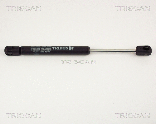 Gas Spring, boot/cargo area (8710 16218)