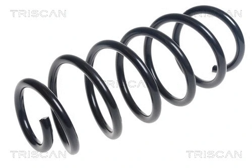 Suspension Spring (8750 24197)