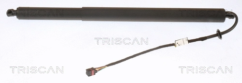 Gas Spring, boot/cargo area (8710 43301)