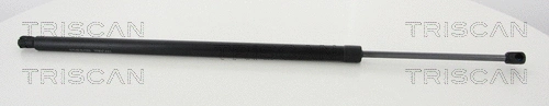 Gas Spring, boot/cargo area (8710 80217)