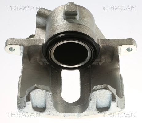 Brake Caliper (8175 25109)