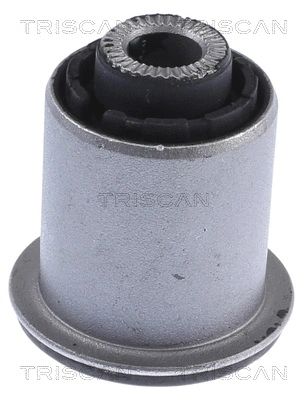 Mounting, control/trailing arm (8500 43842)