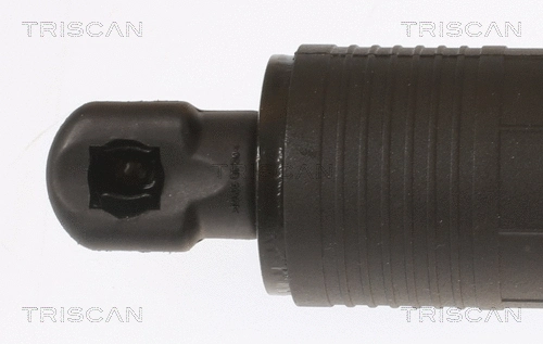 Gas Spring, boot/cargo area