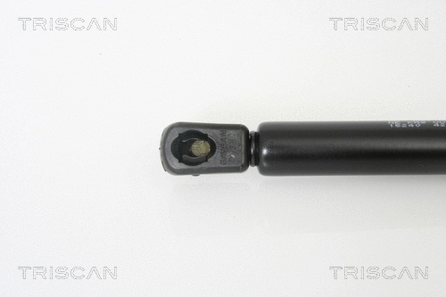 Gas Spring, boot/cargo area