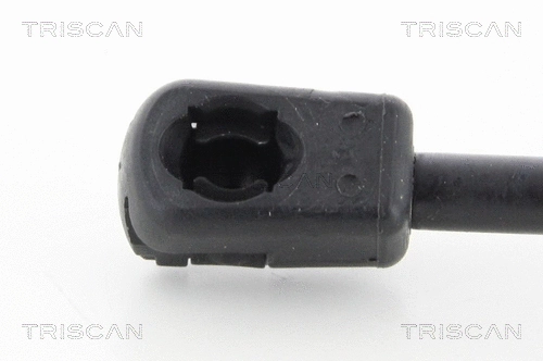 Gas Spring, boot/cargo area