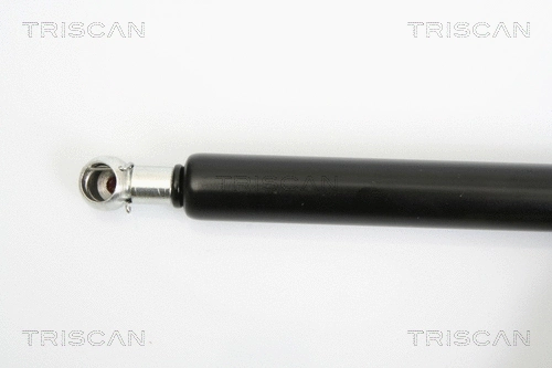 Gas Spring, boot/cargo area