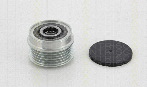 Alternator Freewheel Clutch (8641 154007)