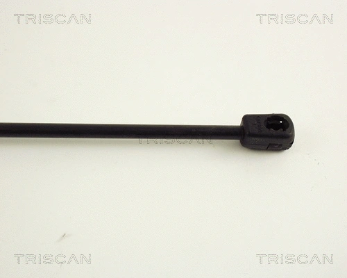 Gas Spring, boot/cargo area