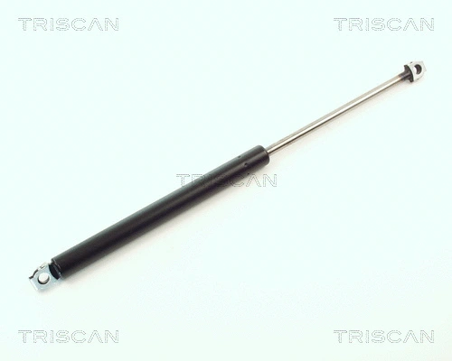 Gas Spring, boot/cargo area (8710 11202)