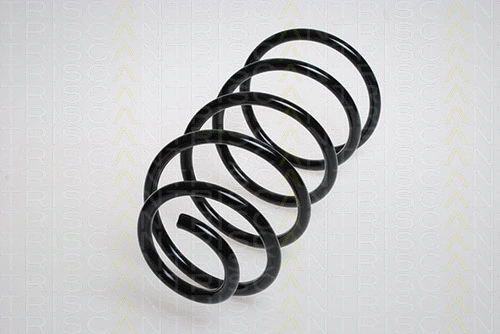 Suspension Spring (8750 28107)