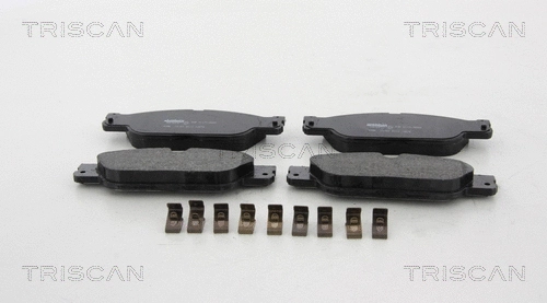 Brake Pad Set, disc brake (8110 10579)