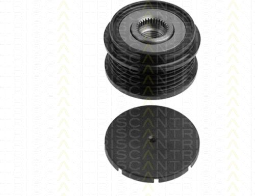 Alternator Freewheel Clutch (8641 294005)