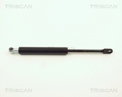 Gas Spring, rear window (8710 11217)