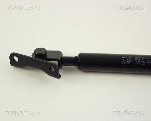 Gas Spring, boot/cargo area