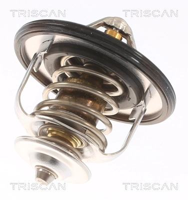 Thermostat, coolant (8620 54887)