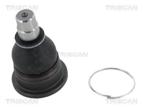 Ball Joint (8500 15587)