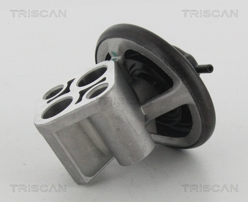 EGR Valve (8813 43007)