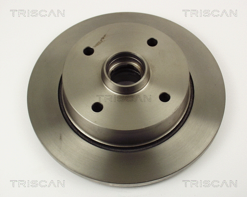 Brake Disc (8120 50129)