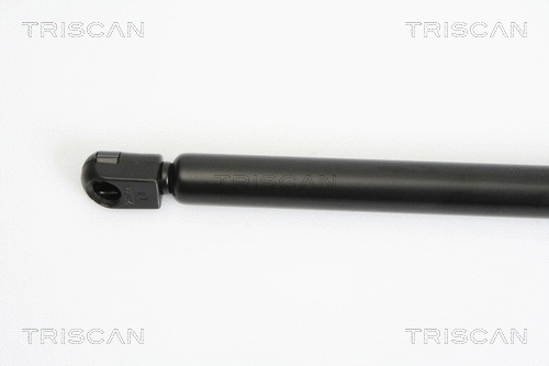 Gas Spring, boot/cargo area