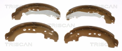 Brake Shoe Set (8100 29531)