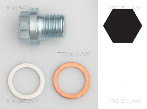 Screw Plug, oil sump (9500 1011)