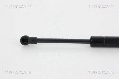 Gas Spring, boot/cargo area