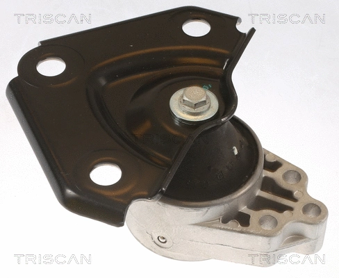 Mounting, engine