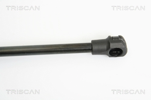 Gas Spring, boot/cargo area