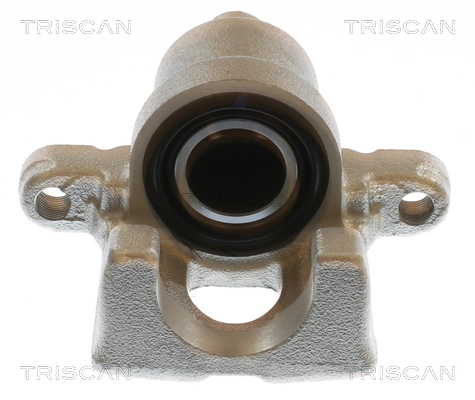 Brake Caliper (8175 13227)