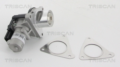 EGR Valve (8813 43010)