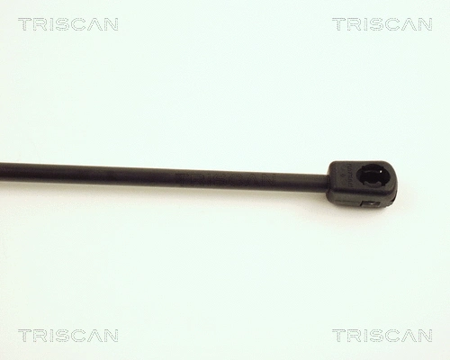 Gas Spring, boot/cargo area