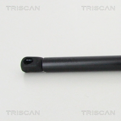 Gas Spring, boot/cargo area