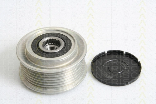 Alternator Freewheel Clutch (8641 184002)