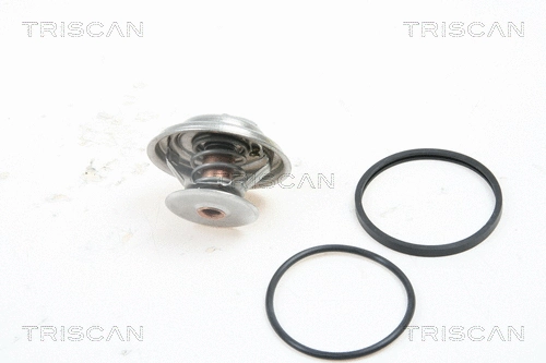 Thermostat, coolant (8620 2691)