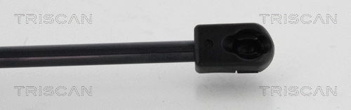 Gas Spring, boot/cargo area (8710 14248)
