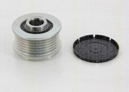 Alternator Freewheel Clutch (8641 114005)