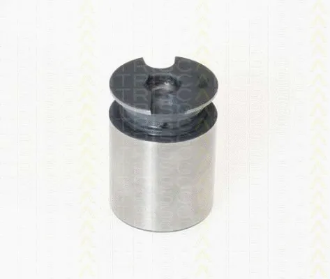 Piston, brake caliper (8170 233863)