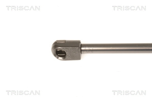 Gas Spring, boot/cargo area