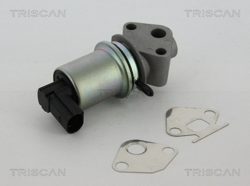 EGR Valve (8813 29004)