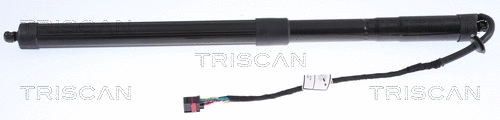 Gas Spring, boot/cargo area (8710 17303)