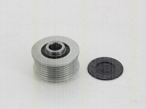 Alternator Freewheel Clutch (8641 244011)