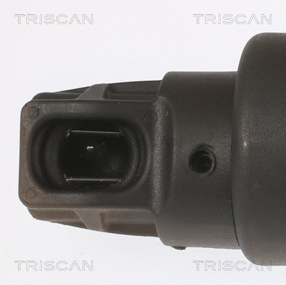 Gas Spring, boot/cargo area